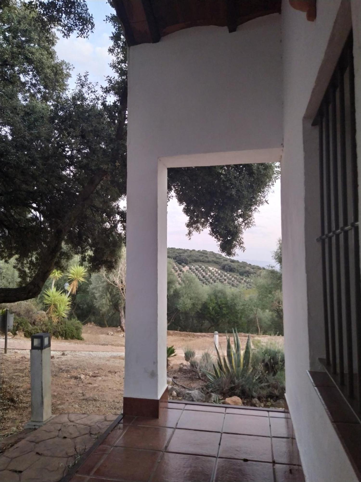 Casas Rurales Cortijo La Canada Estepa Room photo