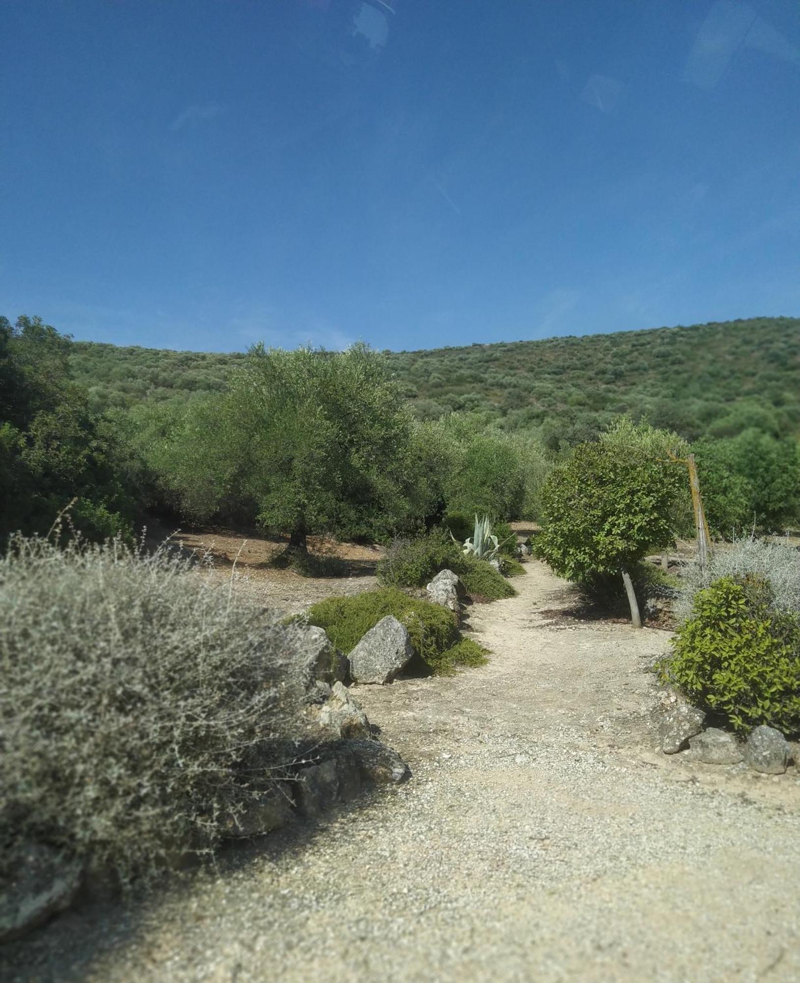 Casas Rurales Cortijo La Canada Estepa Room photo