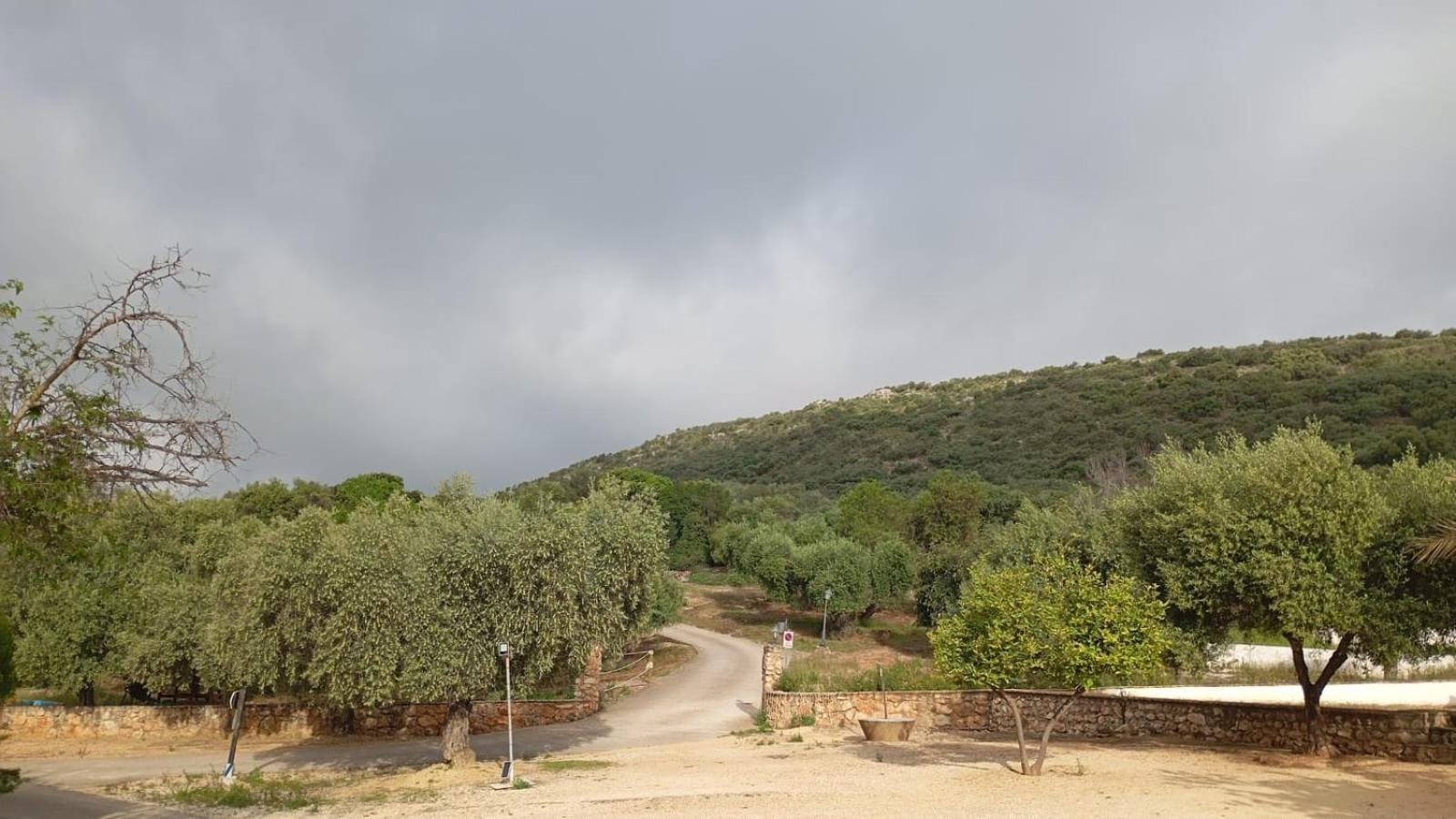 Casas Rurales Cortijo La Canada Estepa Exterior photo