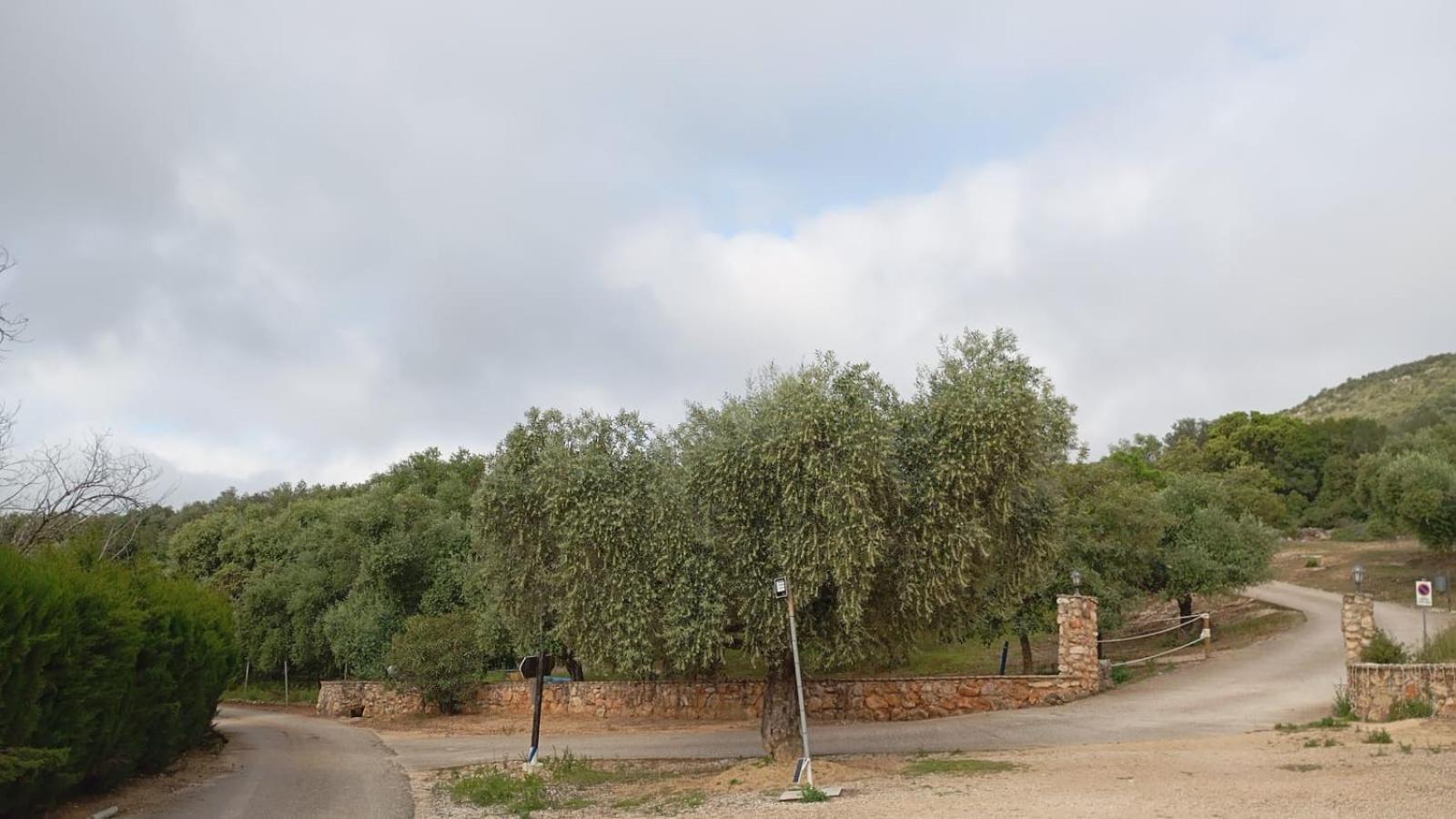 Casas Rurales Cortijo La Canada Estepa Exterior photo