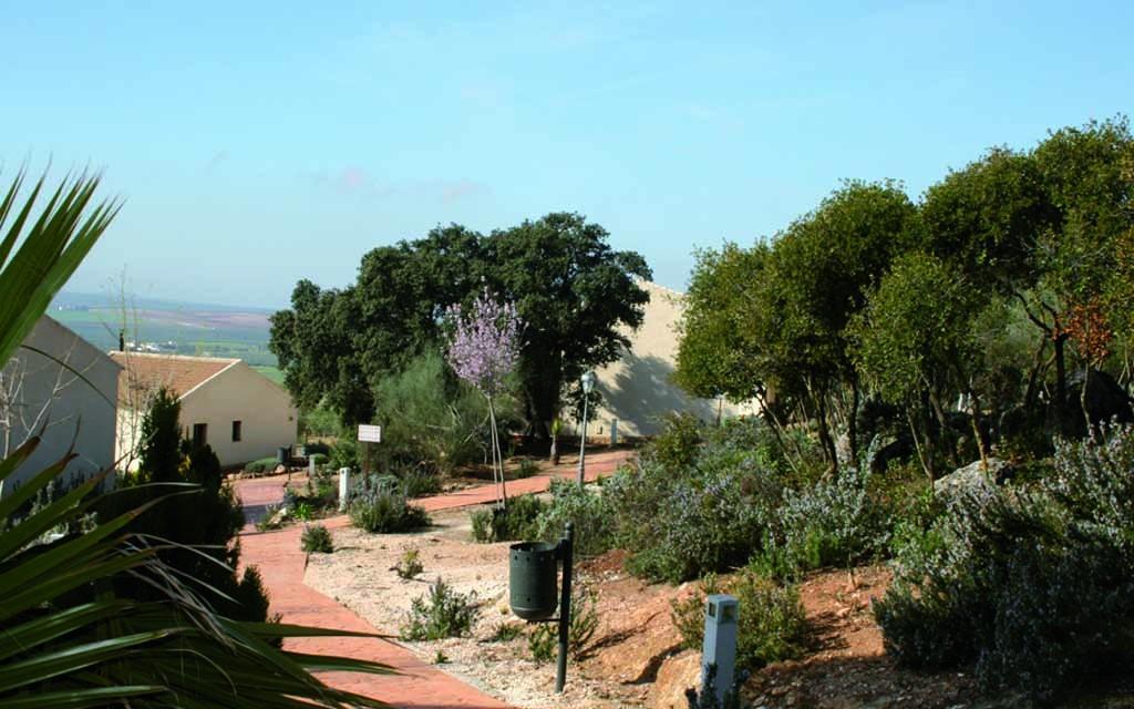 Casas Rurales Cortijo La Canada Estepa Exterior photo