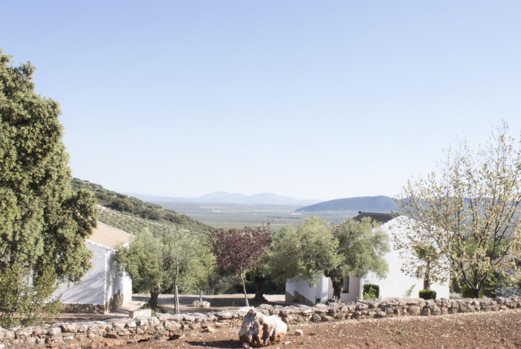 Casas Rurales Cortijo La Canada Estepa Exterior photo